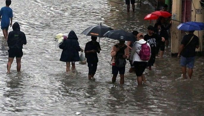 Leptospirosis cases up, dengue down