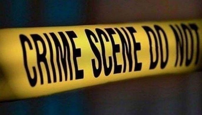 Suspect in murder of woman in refrigerator charged