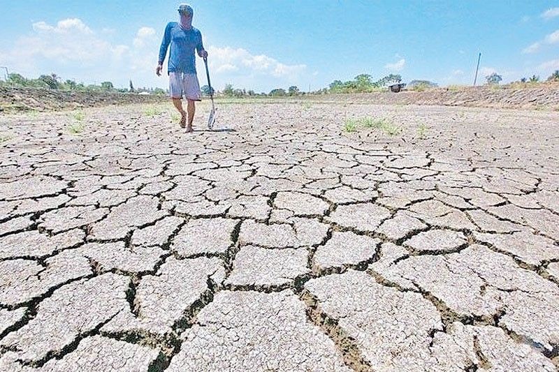DA sets aside P9.7 billion for El Niño response