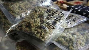 22-anyos drug courier timbog sa P3.7 milyong marijuana