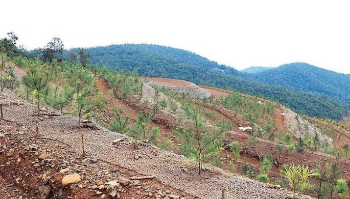Beyond the mine: A rehabilitation journey