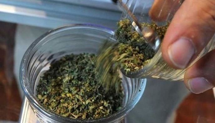 2 get life for selling 20 kilos of marijuana