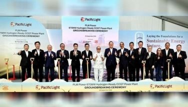MGEN advances S$1.2 billion gas plant in Singapore