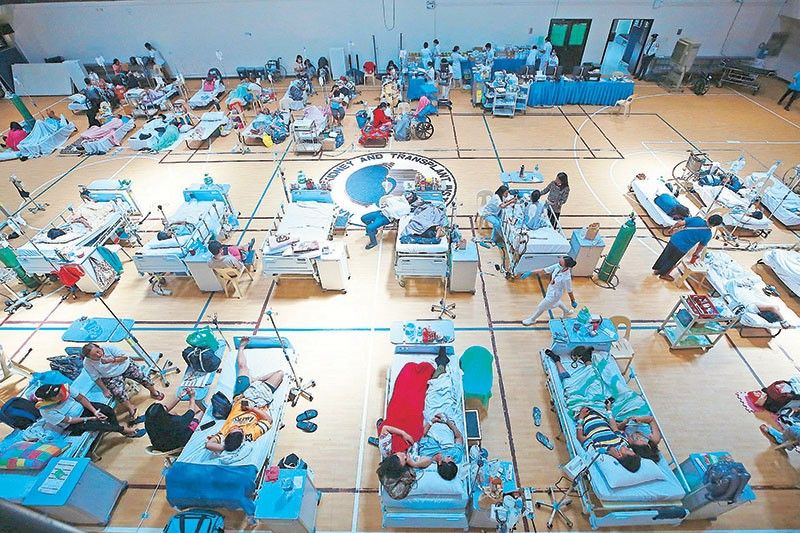 DOH: Leptospirosis cases up, dengue down