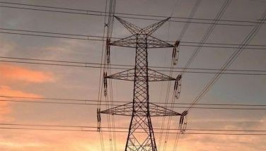 Consumers urged to help manage power demand