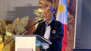 Pepito urges fellow councilors: Be resilient, responsive leaders