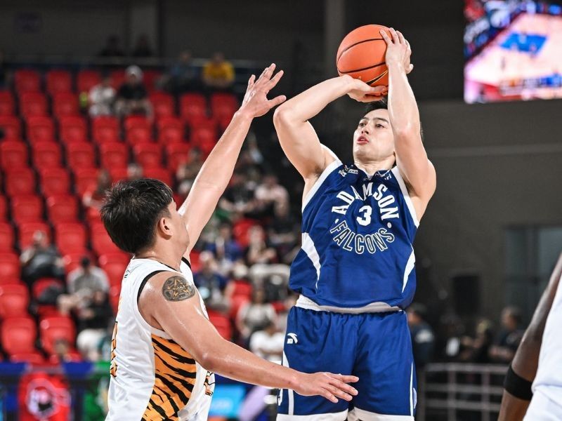 Falcons feast on Tigers