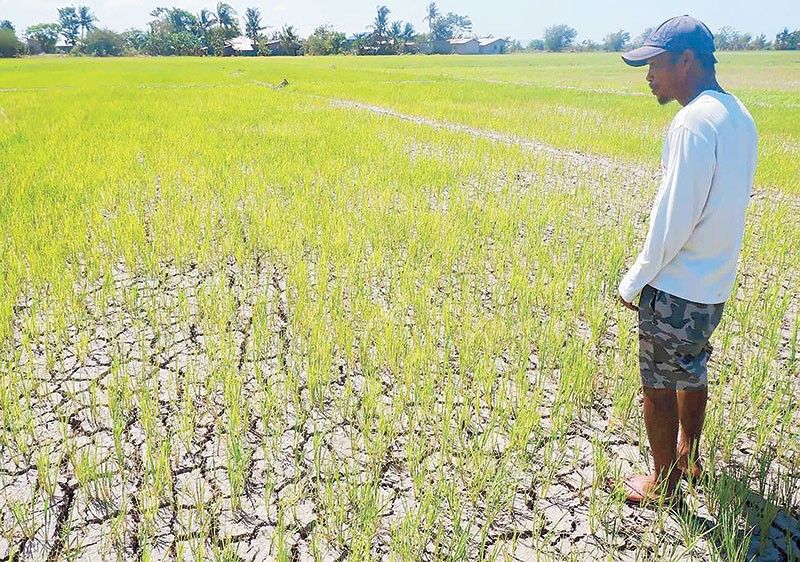 Marcos orders government to prepare for widespread drought