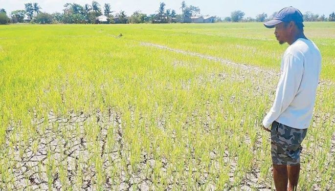 Marcos orders government to prepare for widespread drought