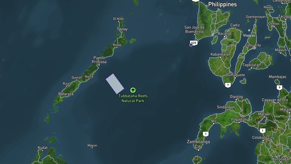 Palawan waters closed to fishing, sailing over possible China rocket debris