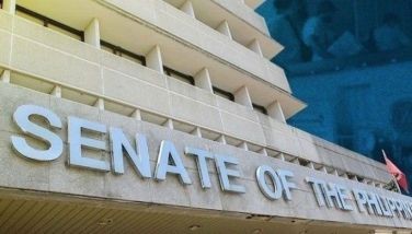 Senate ratifies SOVFA with France