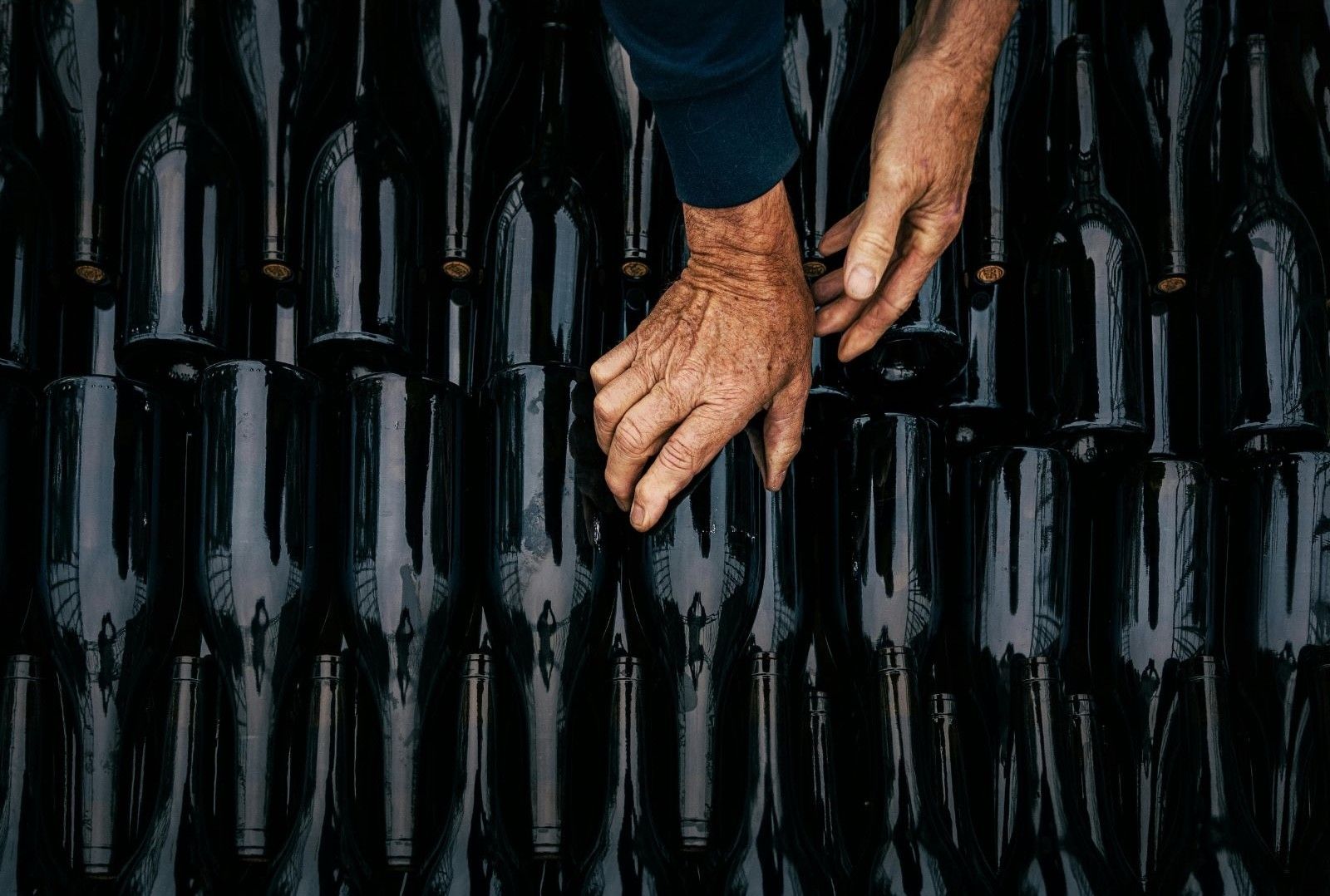 Thieves steal wine worth P350 million in Italy