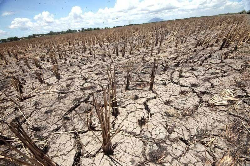 4 bayan sa Quezon isinailalim sa state of calamity sa El Ni&Atilde;&plusmn;o