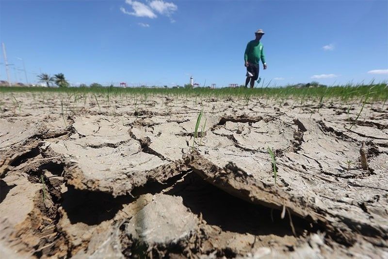 Quezon LGUs declare state of calamity over El Ni&Atilde;&plusmn;o