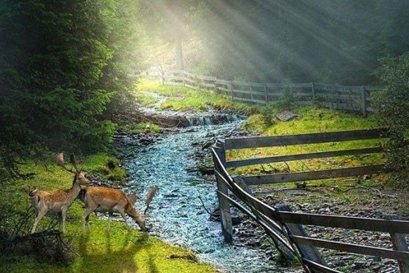 God’s Provision