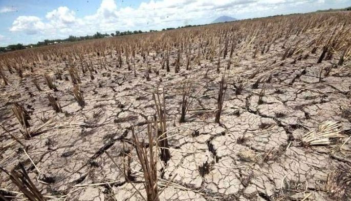 Super El Ni&ntilde;o threatens 44,772 hectares of Cordillera farmland