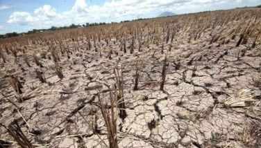 Super El Niño threatens 44,772 hectares of Cordillera farmland