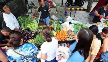 DA to probe smuggling of carrots, broccoli