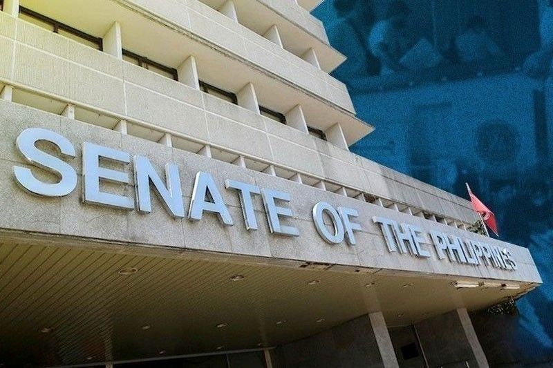 Senate to &acirc;��objectively&acirc;�� assess OVP&acirc;��s proposed budget