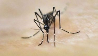 Dengue cases sa Maynila, pumalo na sa higit 4K