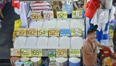 Rice tariff collection hits P16 billion in 9 months