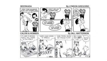 Comics (October 24, 2026)
