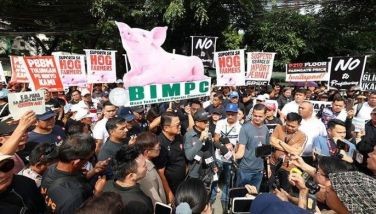 Grupo ng mga hog raiser nag-rally sa DA vs imported na baboy